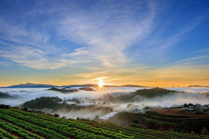 du lịch Đà Lạt