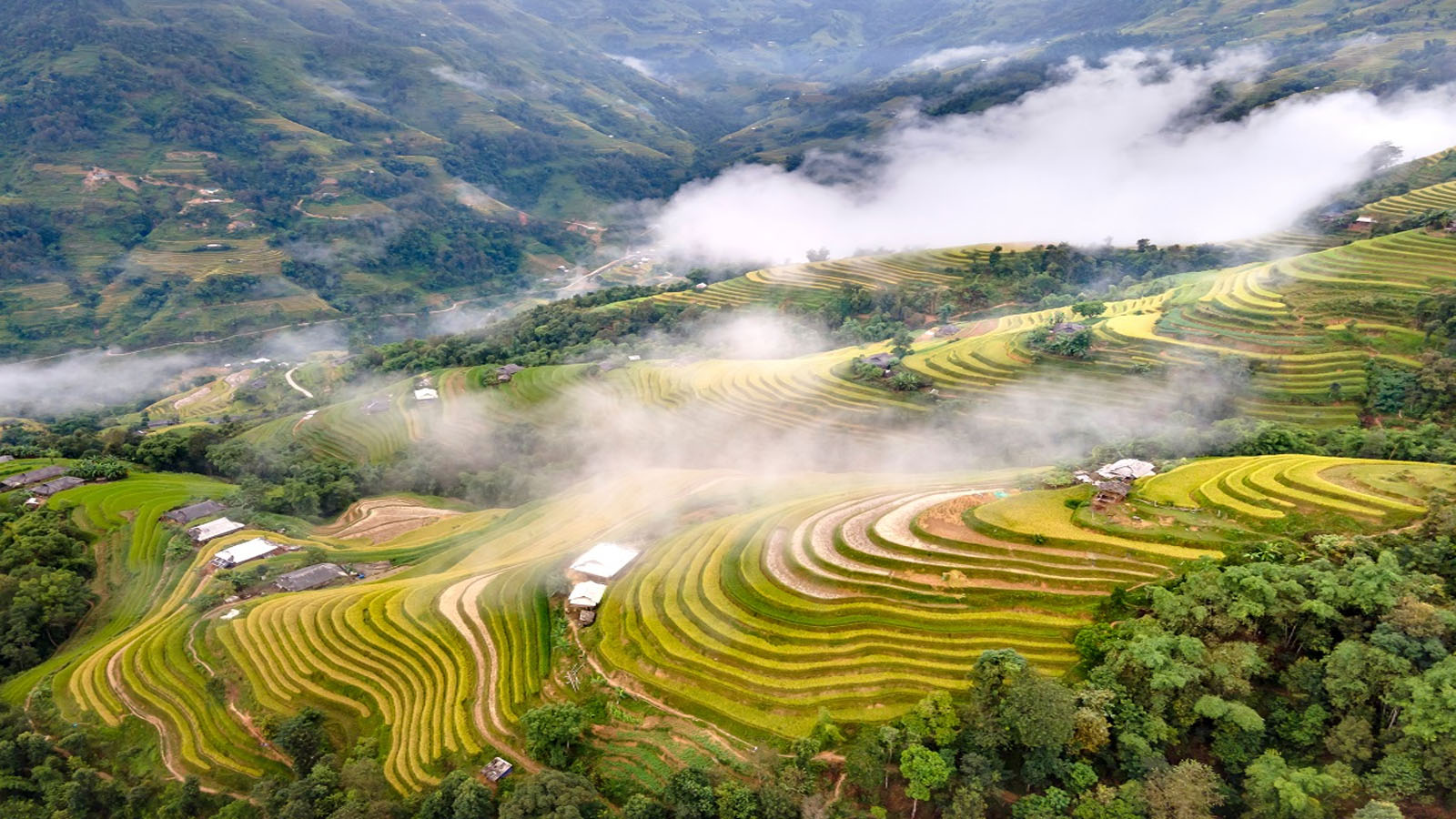 ruộng bậc thang